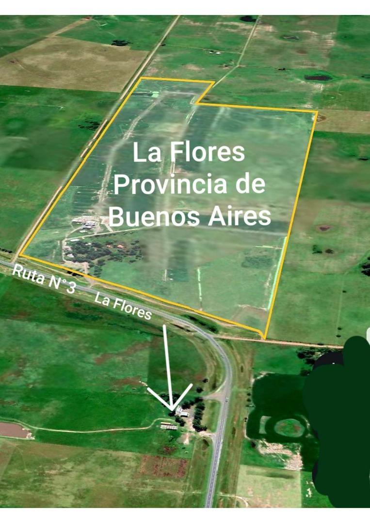 Campo con instalaciones de Feedlot en venta – Las Flores, B