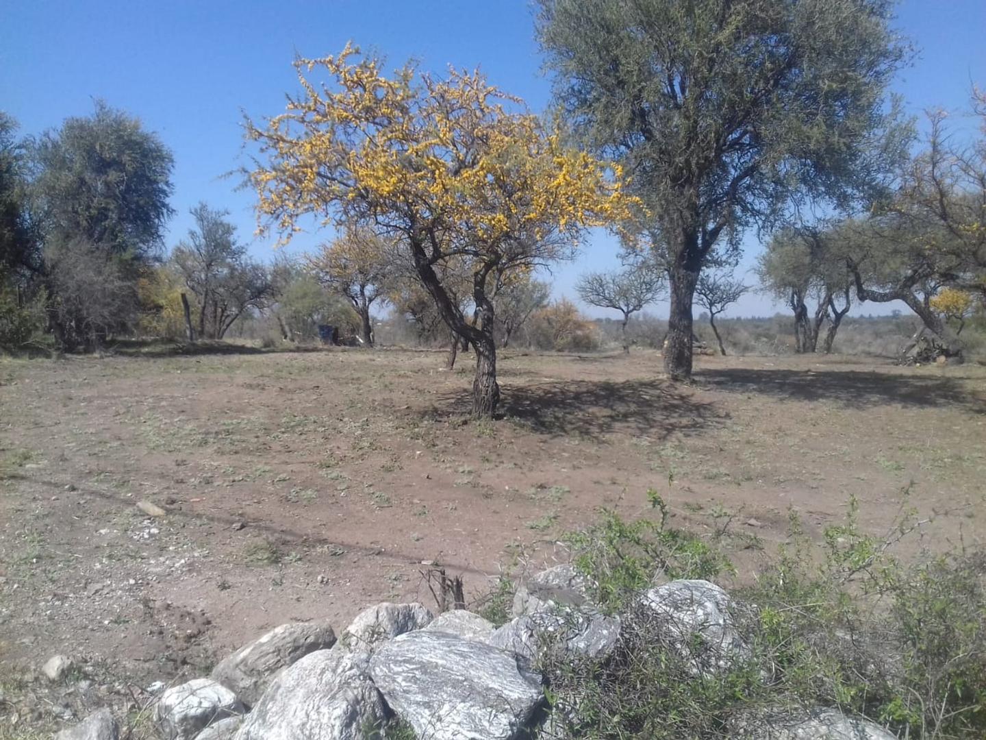 Terreno en Venta de 1564,0 m2