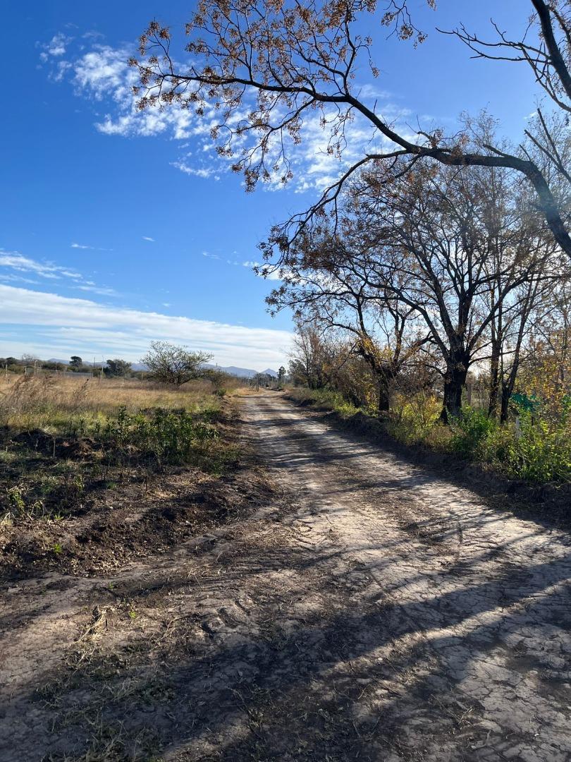 Terreno en Venta de 438,0 m2