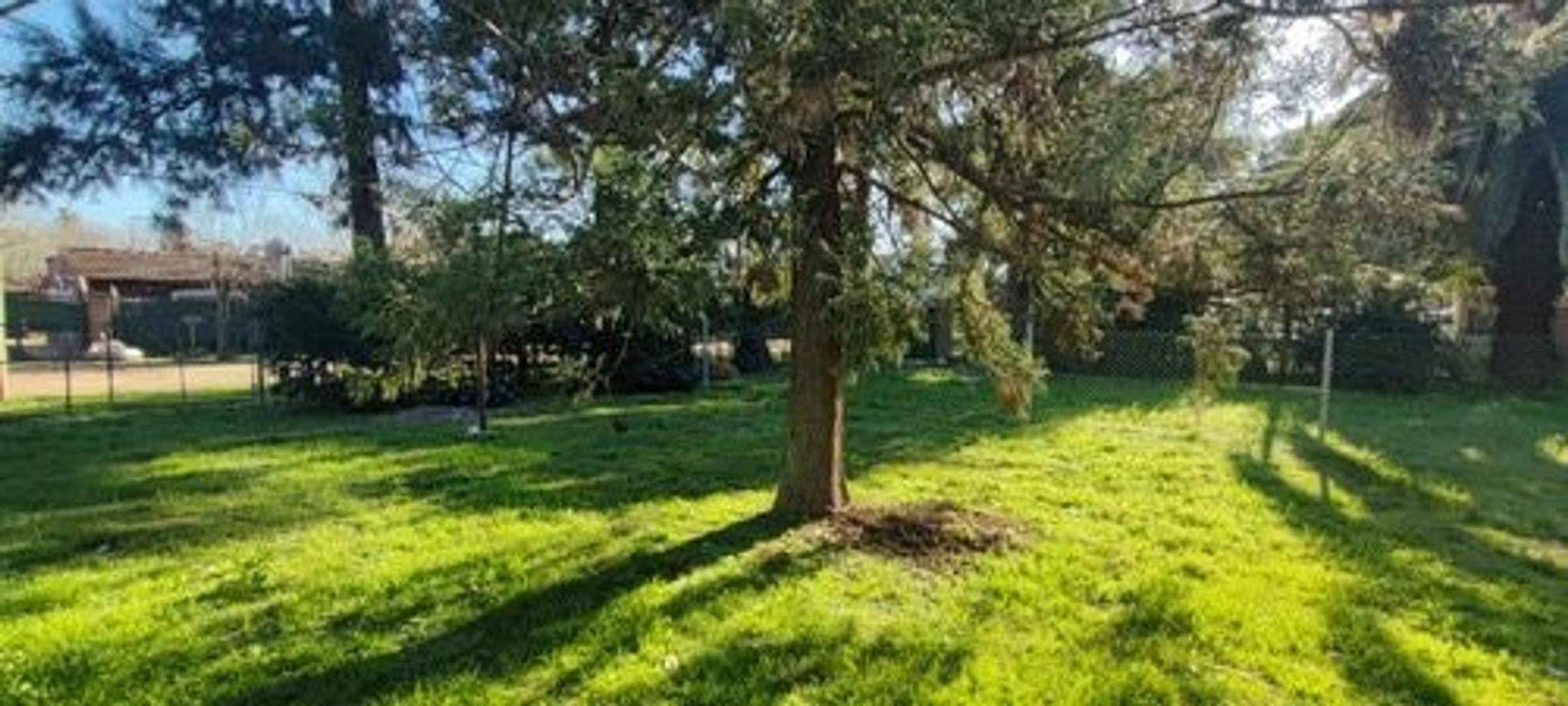 Terreno en Venta de 215,0 m2