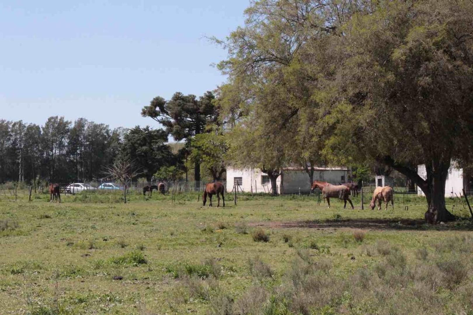 Terreno en Venta de 350000,0 m2