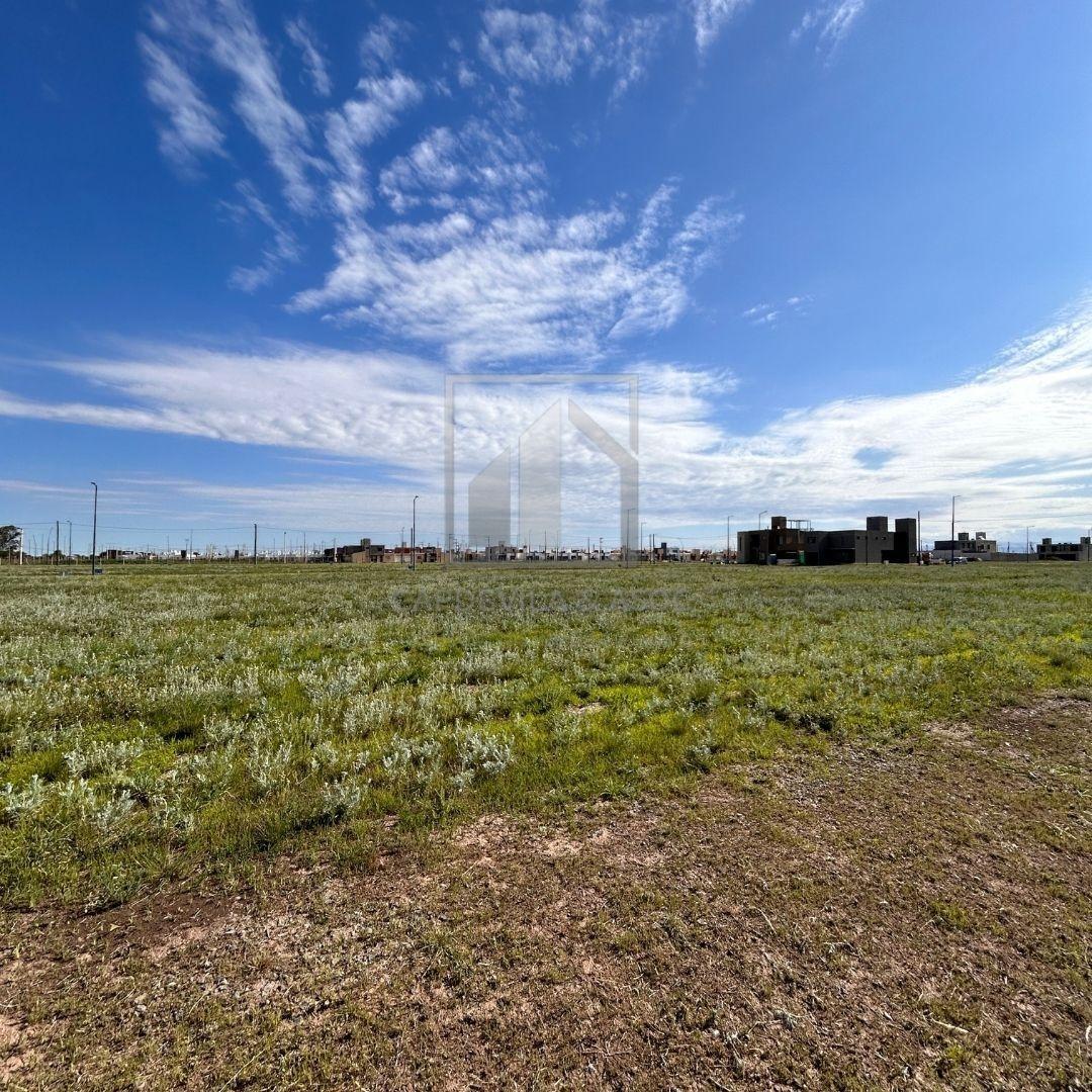 Pampas De Manantiales