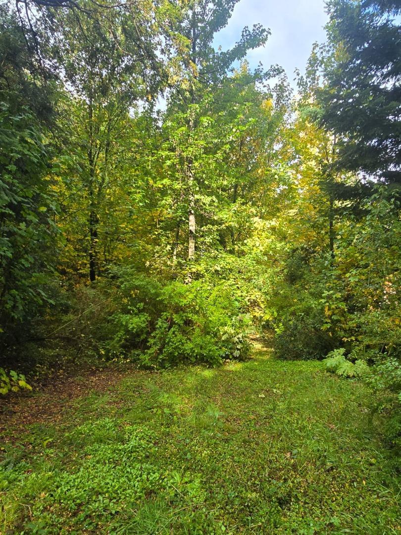 Terreno en Venta en Puerto Manzano, USD 287.000