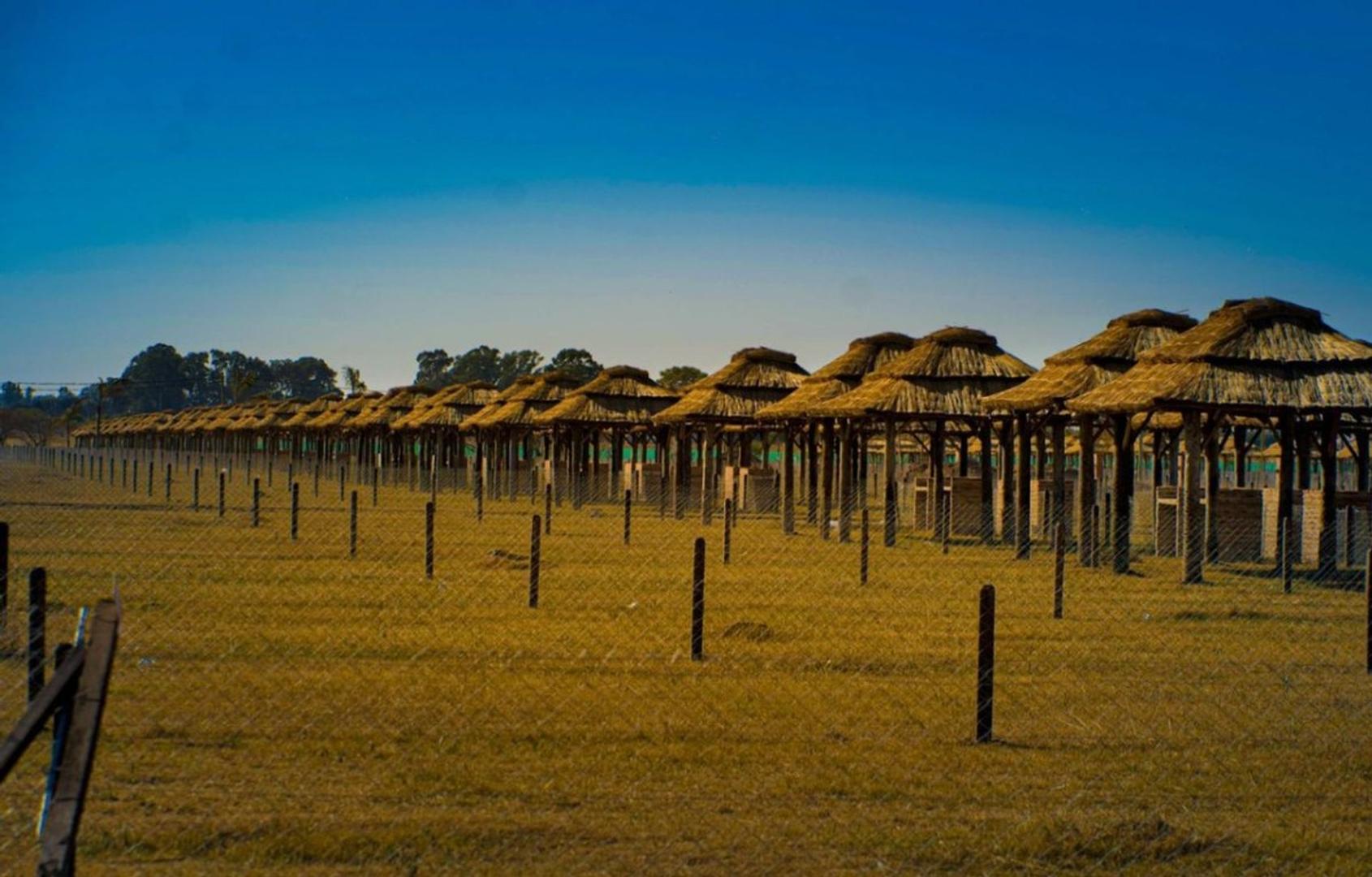 Terreno en Venta en General Rodriguez, USD 8.000