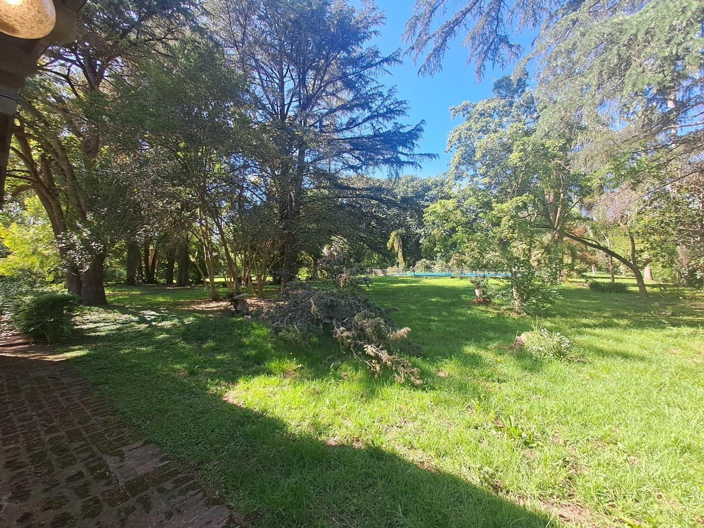 Las Coniferas Y Las Rosas