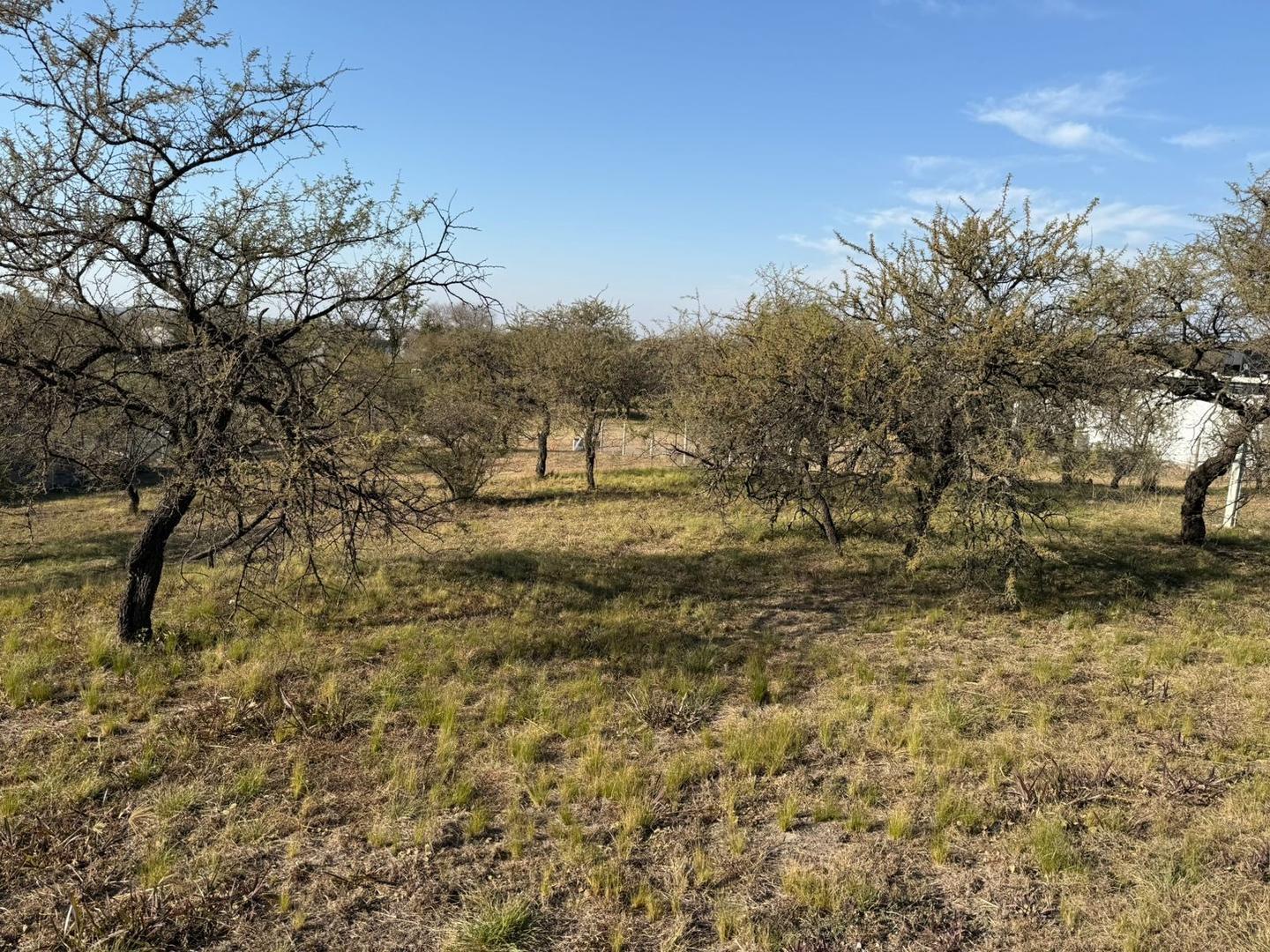 Terreno en Venta en La Arbolada Hollywood, USD 65.000