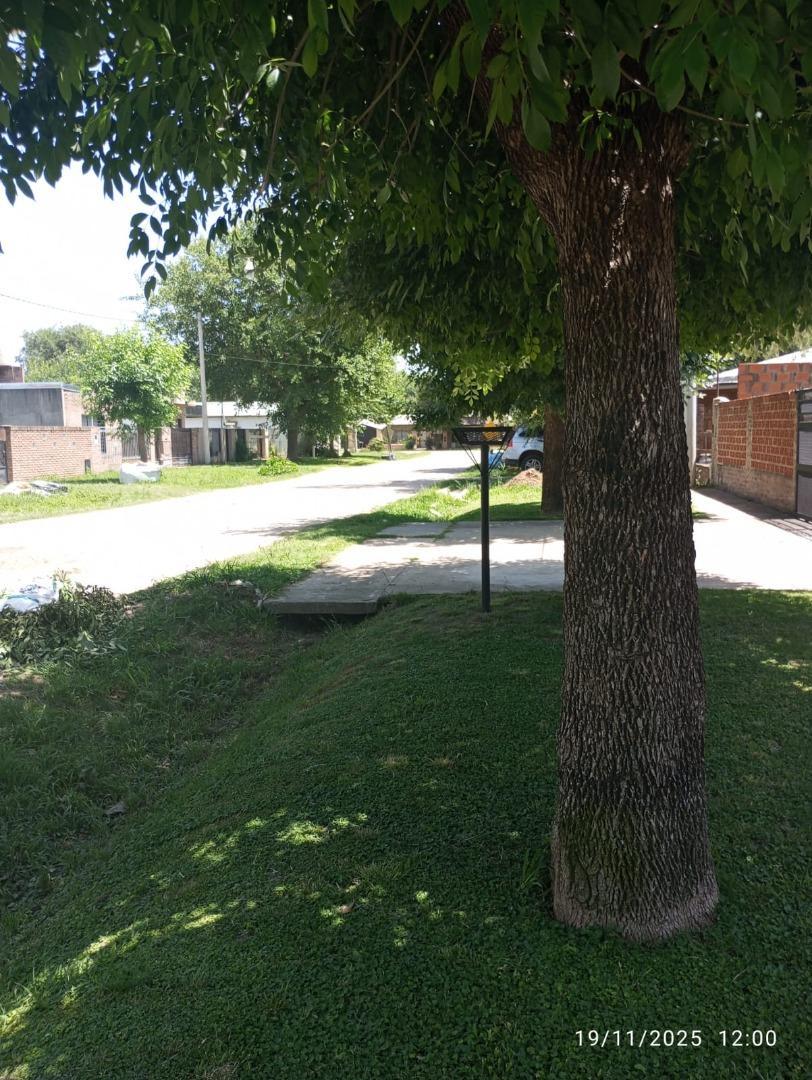 Domingo Regules 1000