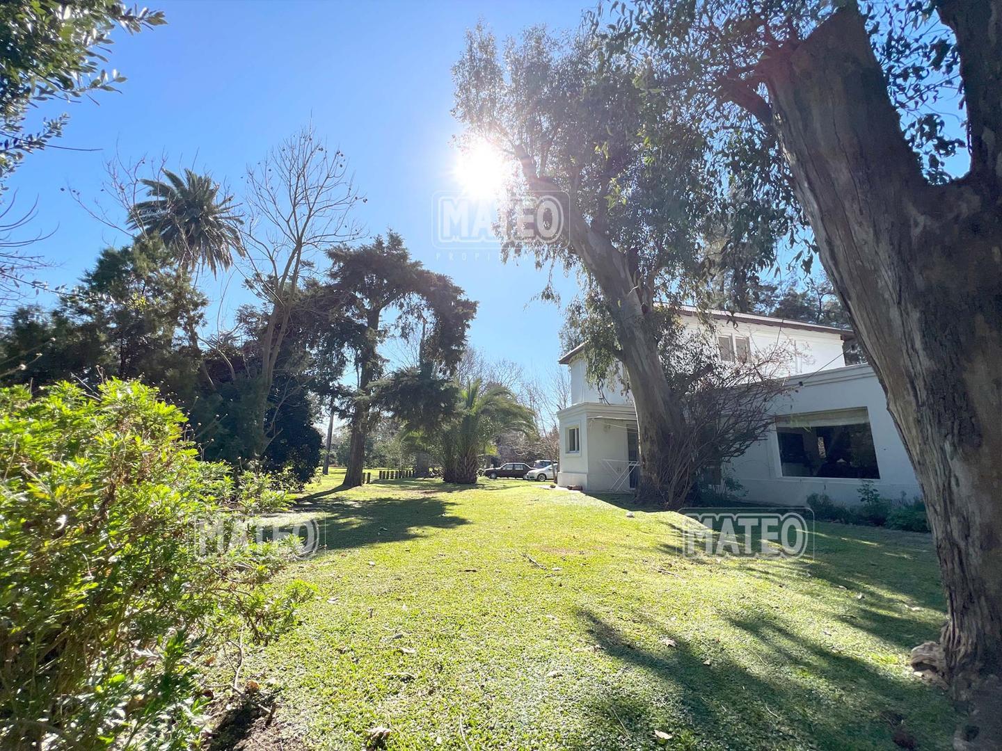 Fondo a Pulmon Verde