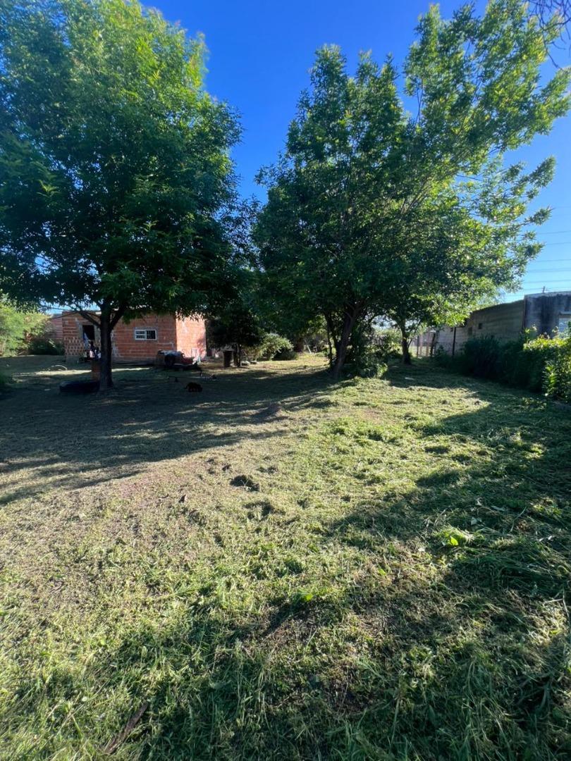 Avenida Martina 1000