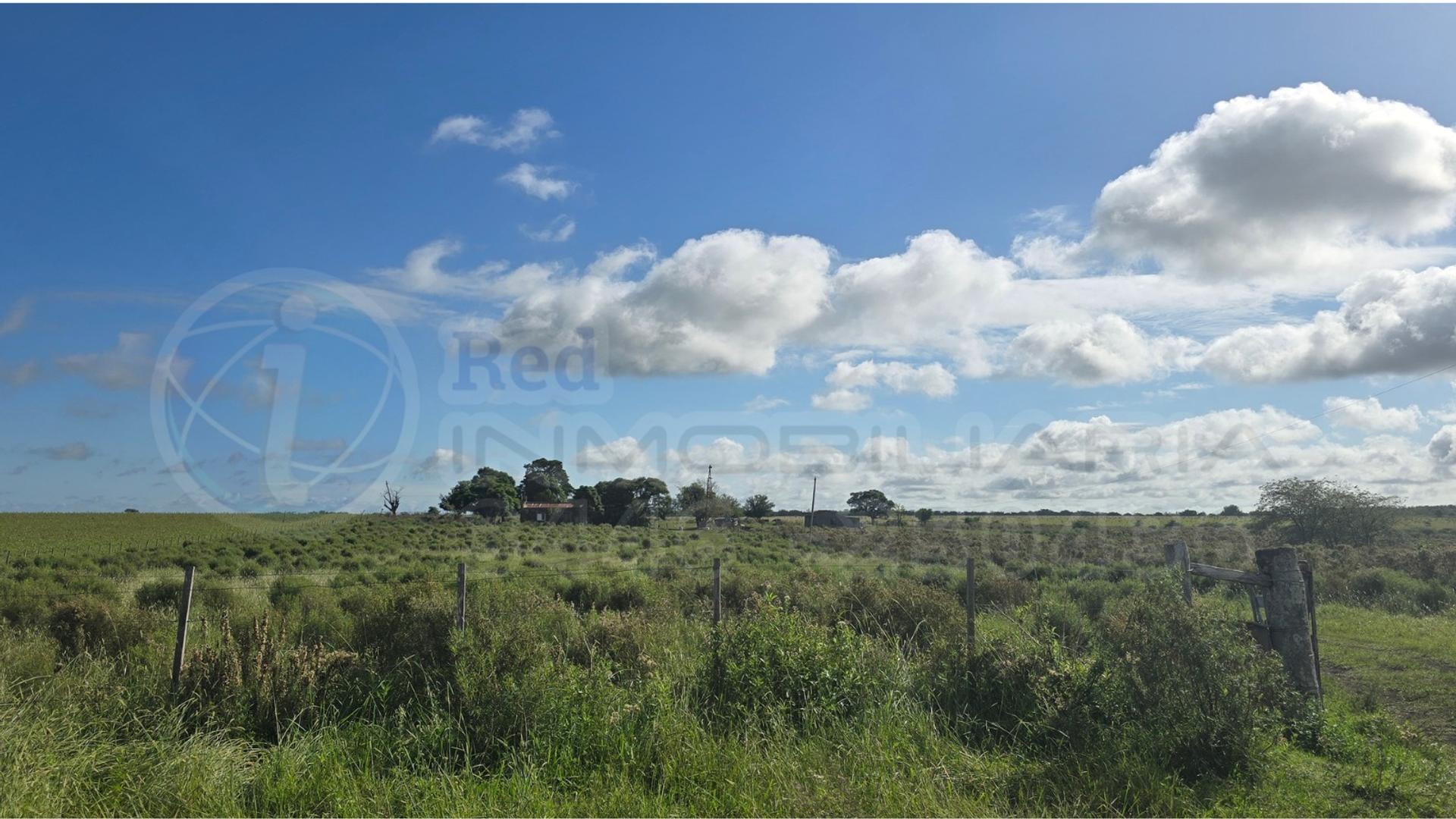 CAMPO EN VENTA EN COLONIA EL POTRERO