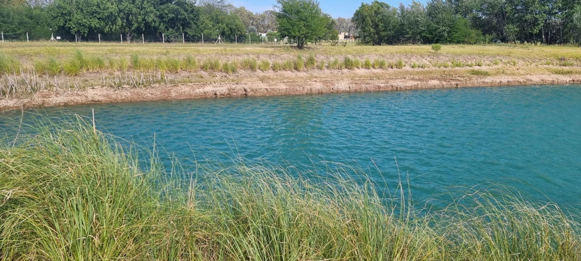 Terreno en Venta de 2000,0 m2