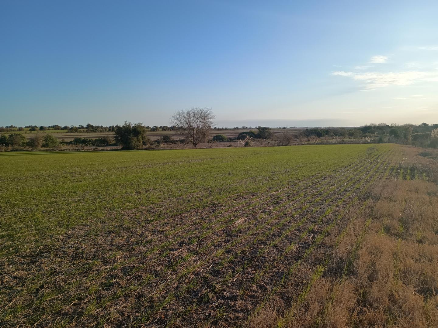 Vendo 105 has mixtas