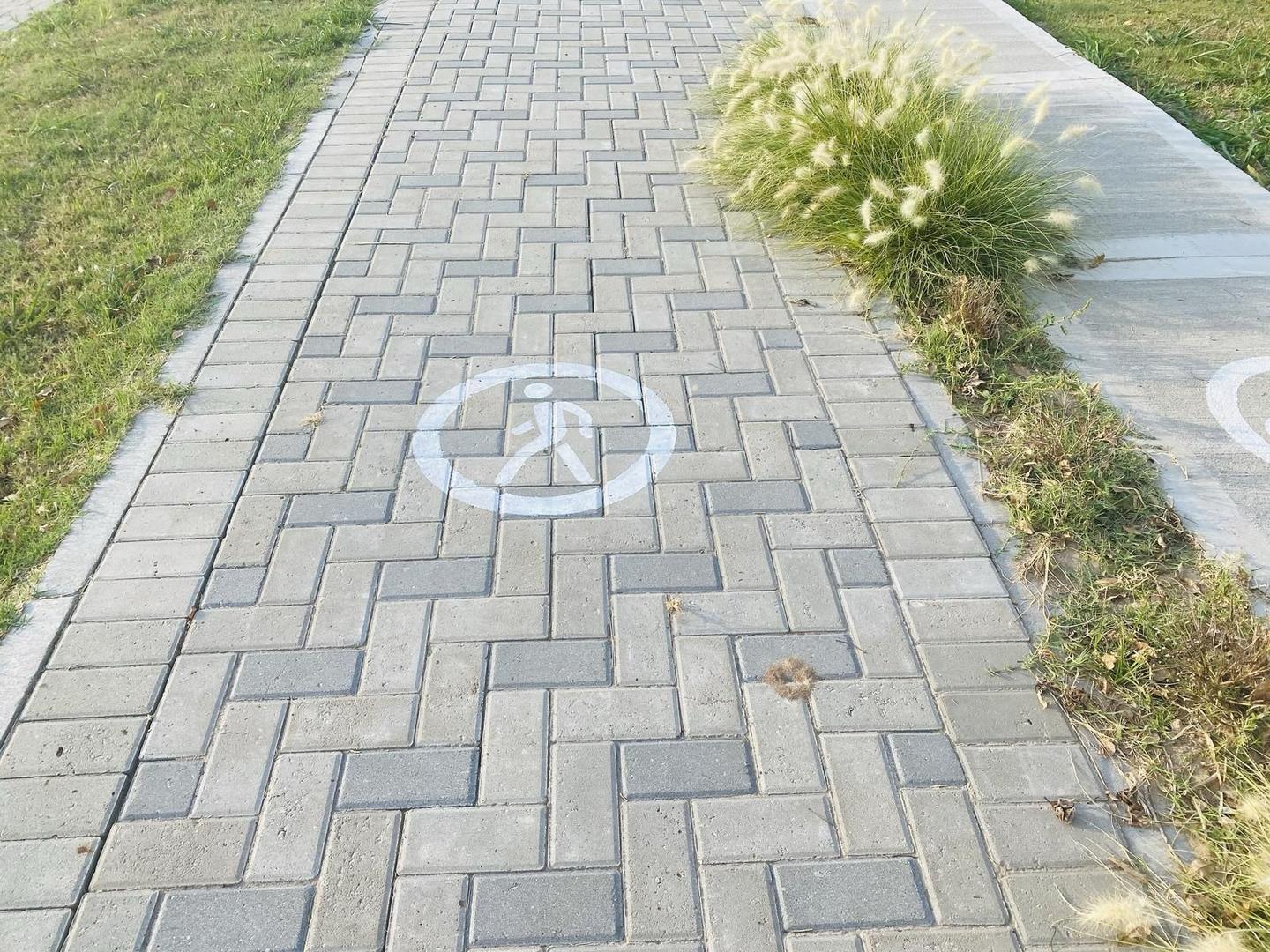 VENTA TERRENO - BELVEDERE  Barrio abierto.