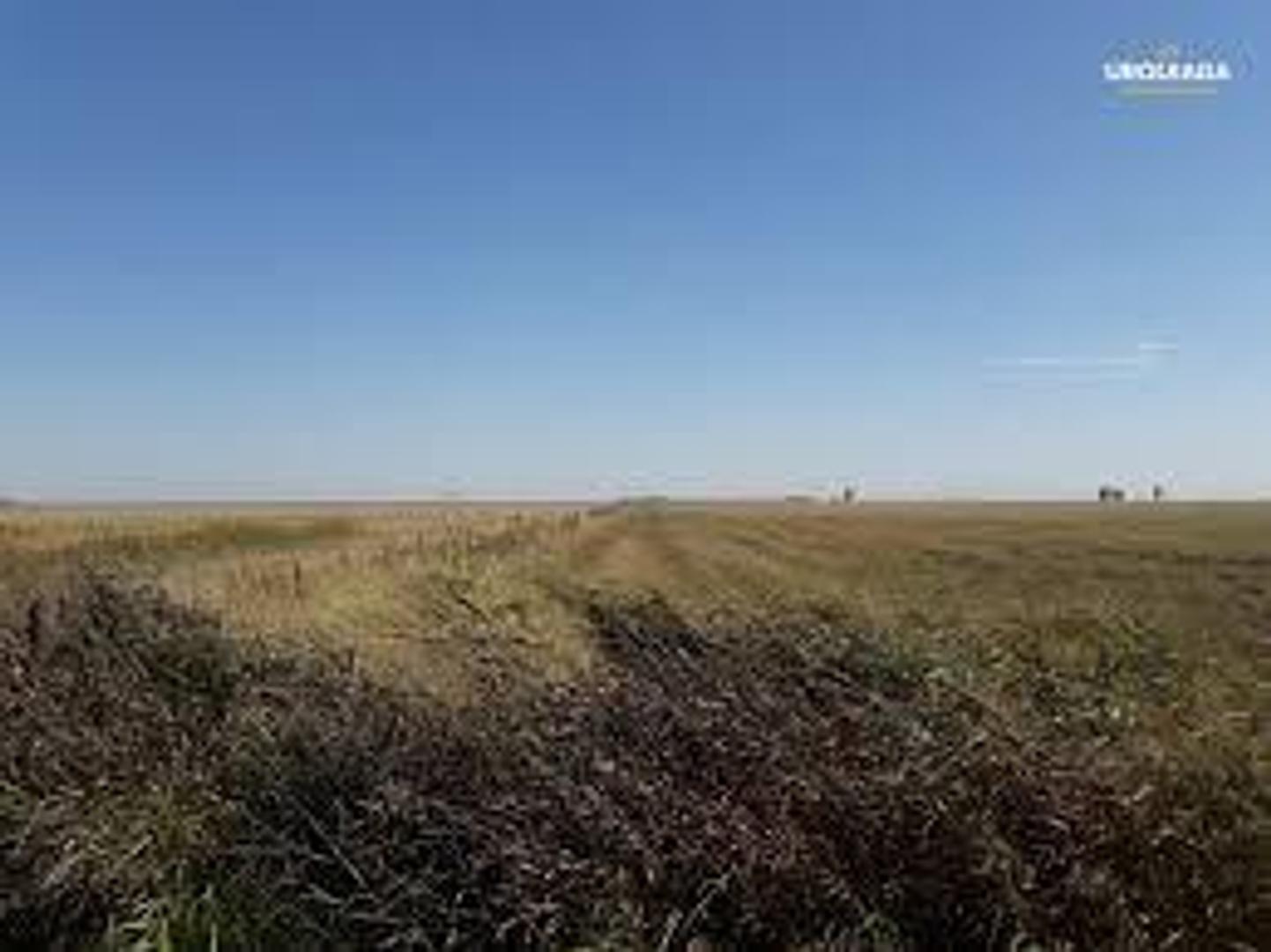 122 ha Ganaderas - Herrera - Sgo del estero