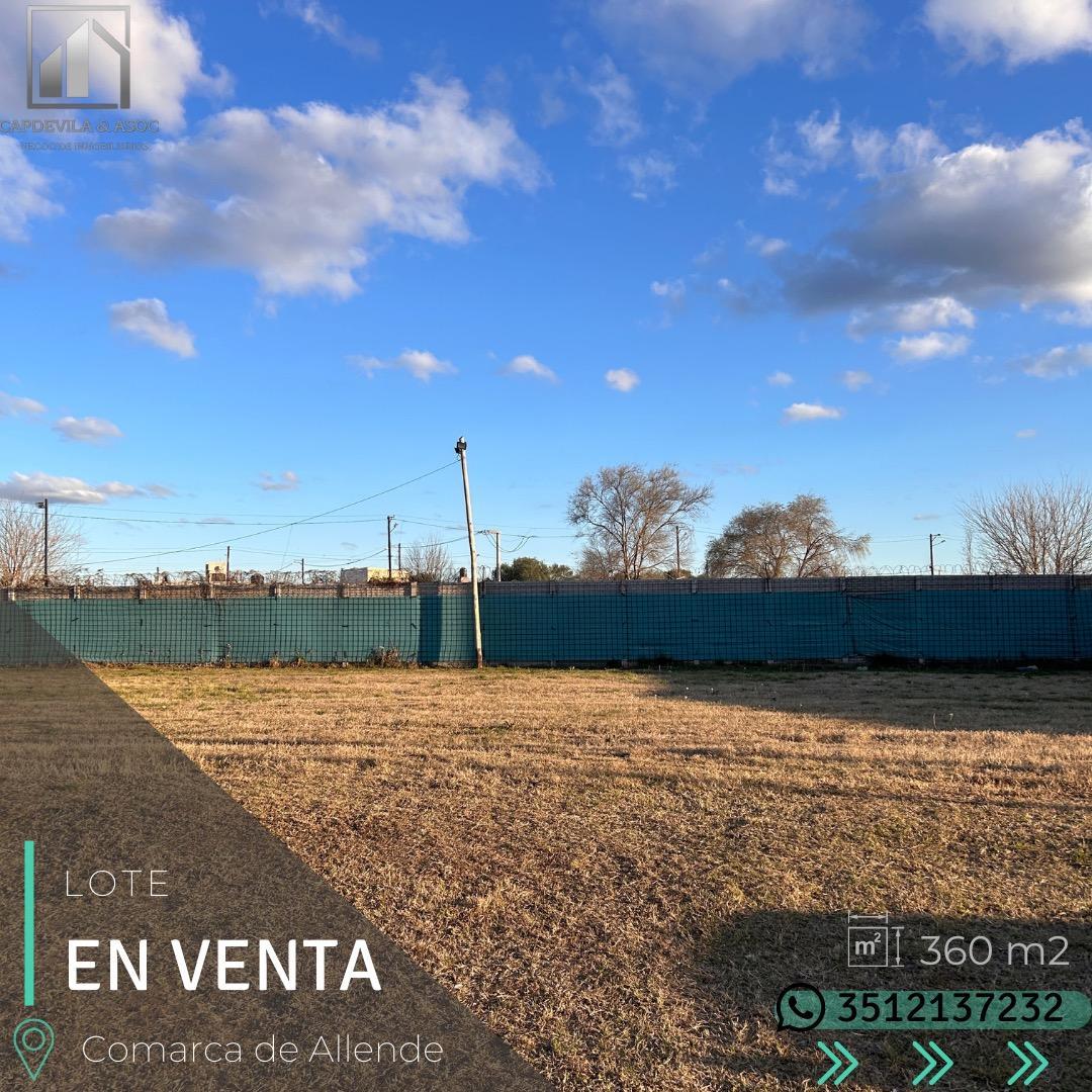 LOTE - COMARCA DE ALLENDE