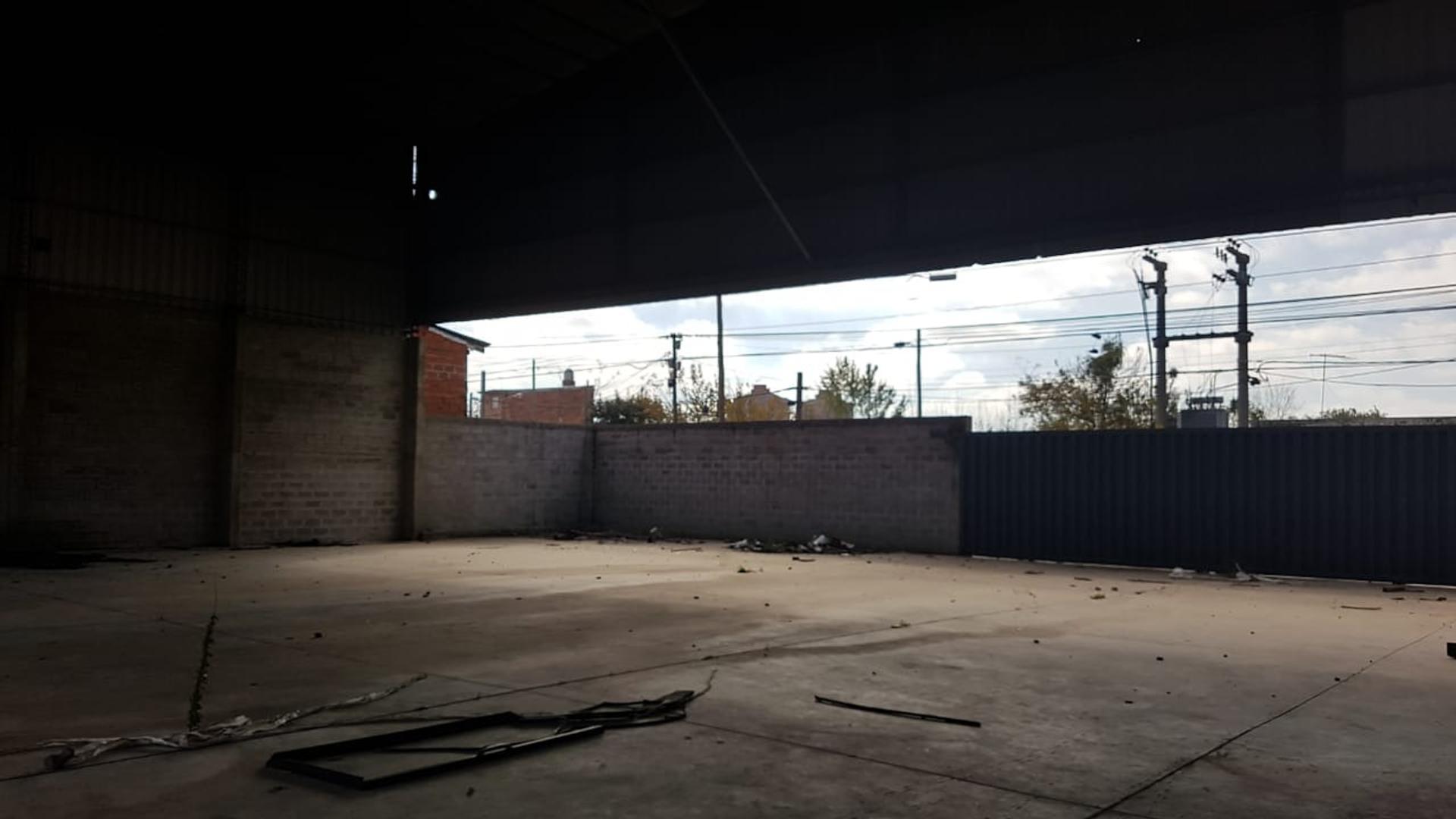 Juan Bautista Alberdi 100