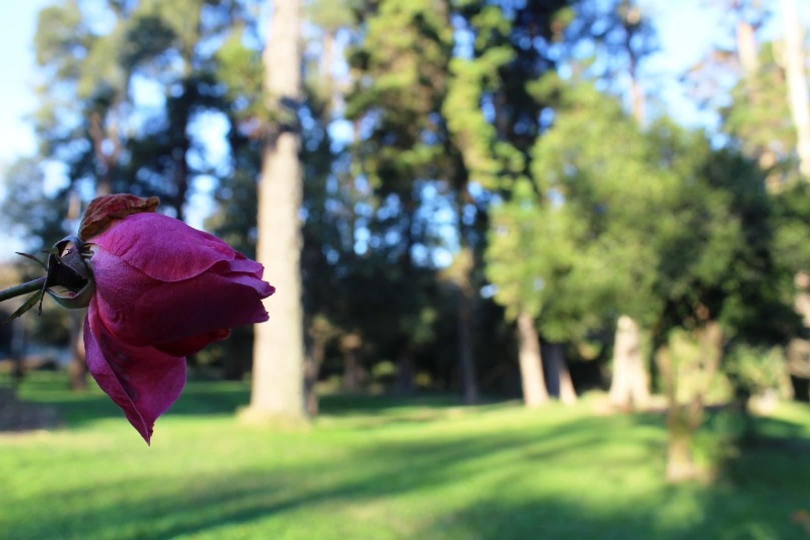 Terreno en Venta en Del Viso, USD 30.000