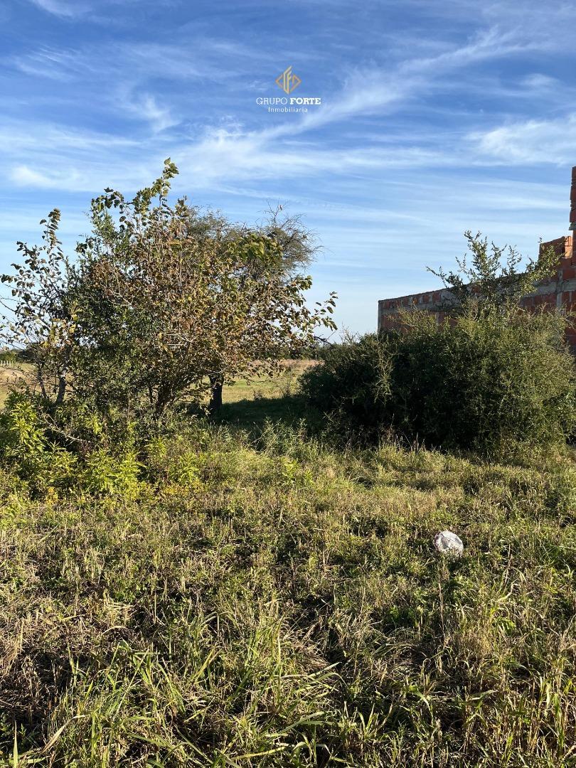 TERRENO EN VENTA SOLES SERRANOS 2