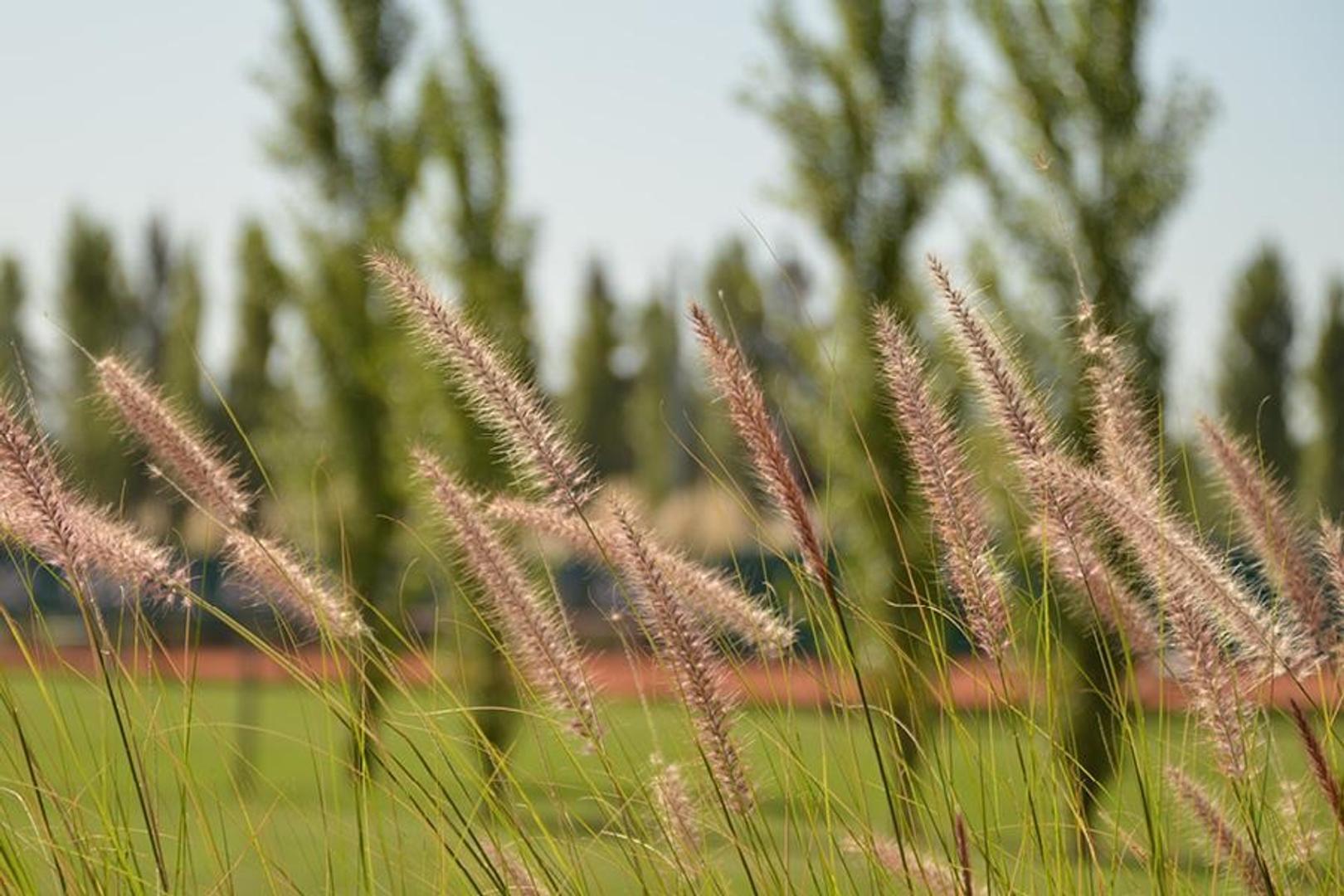 Terreno en Venta en San Roque, USD 41.000