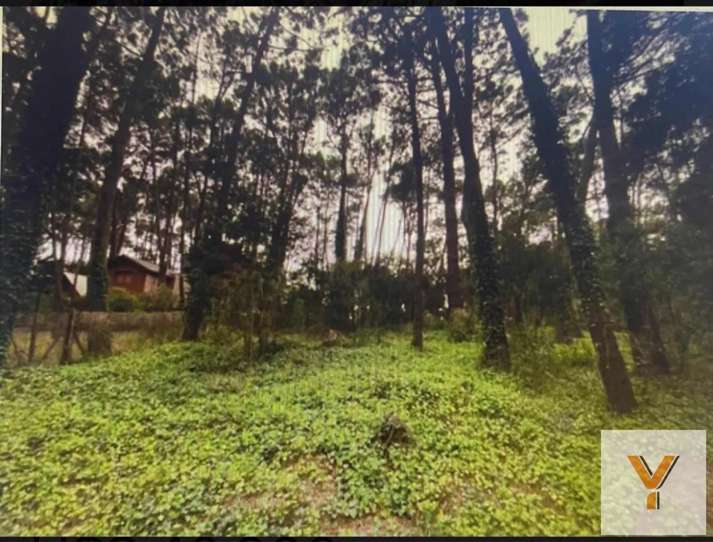 Terreno en Venta 22  mts Frente