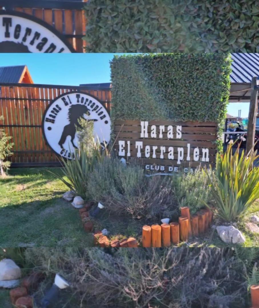 CASA 3 AMBIENTES MINIMALISTA CON QUINCHO Y PILETA