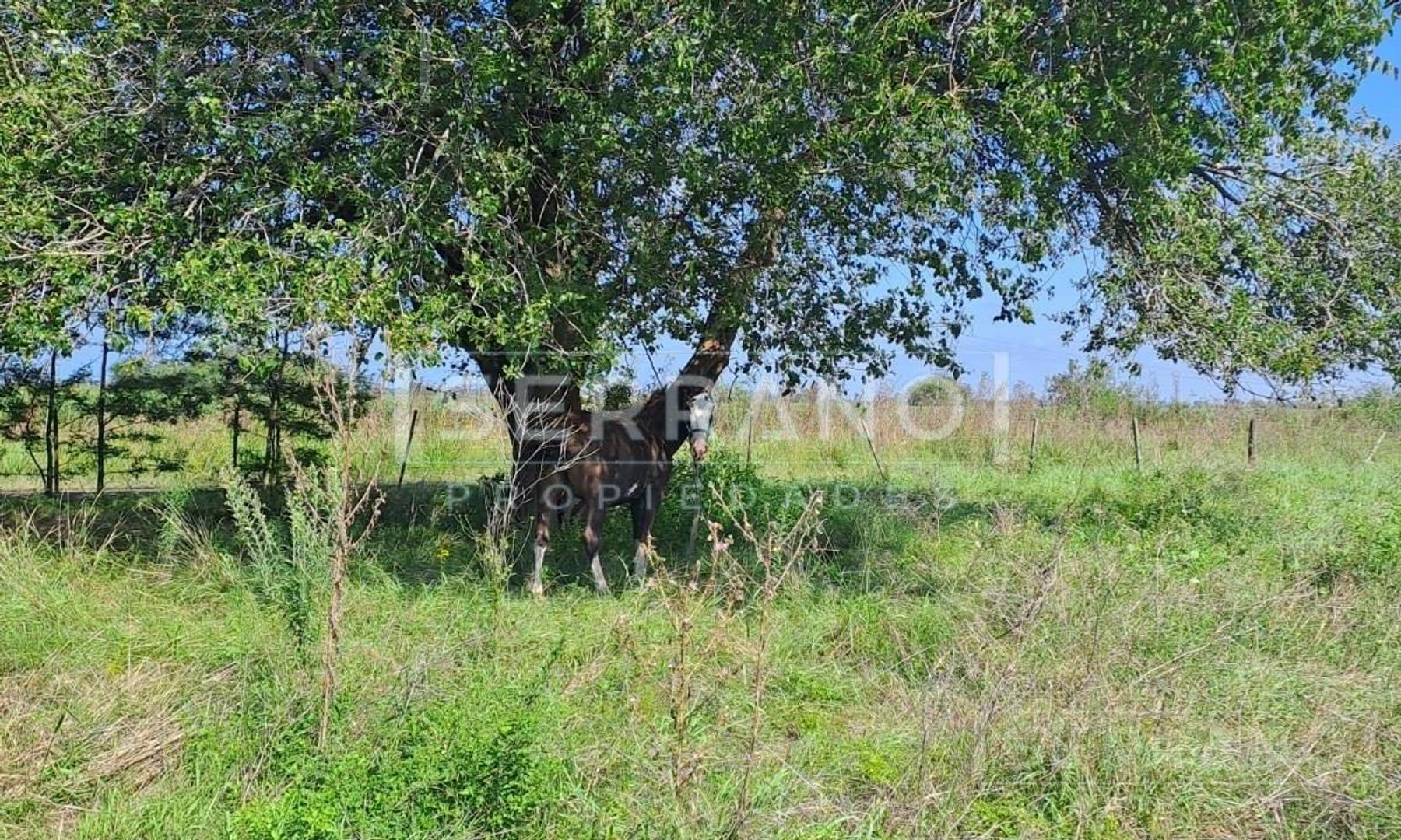AUR. Venta Complejo de Cabañas Turísticas. Exaltacion de la Cruz