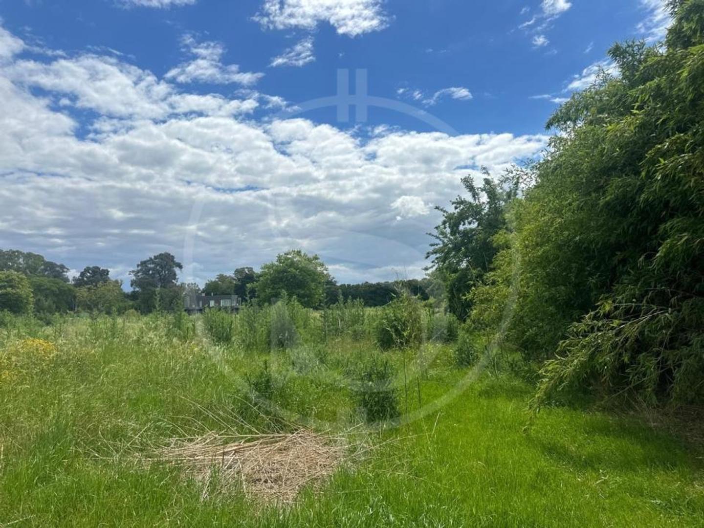 Terreno en Venta de 4950,0 m2