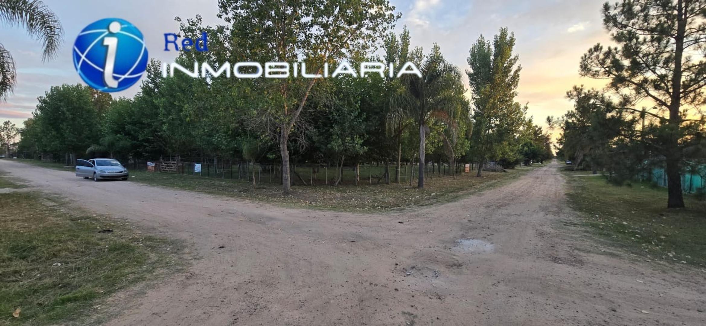 LOTES CON ÁRBOLES EN NUEVO PUEBLO BELGRANO