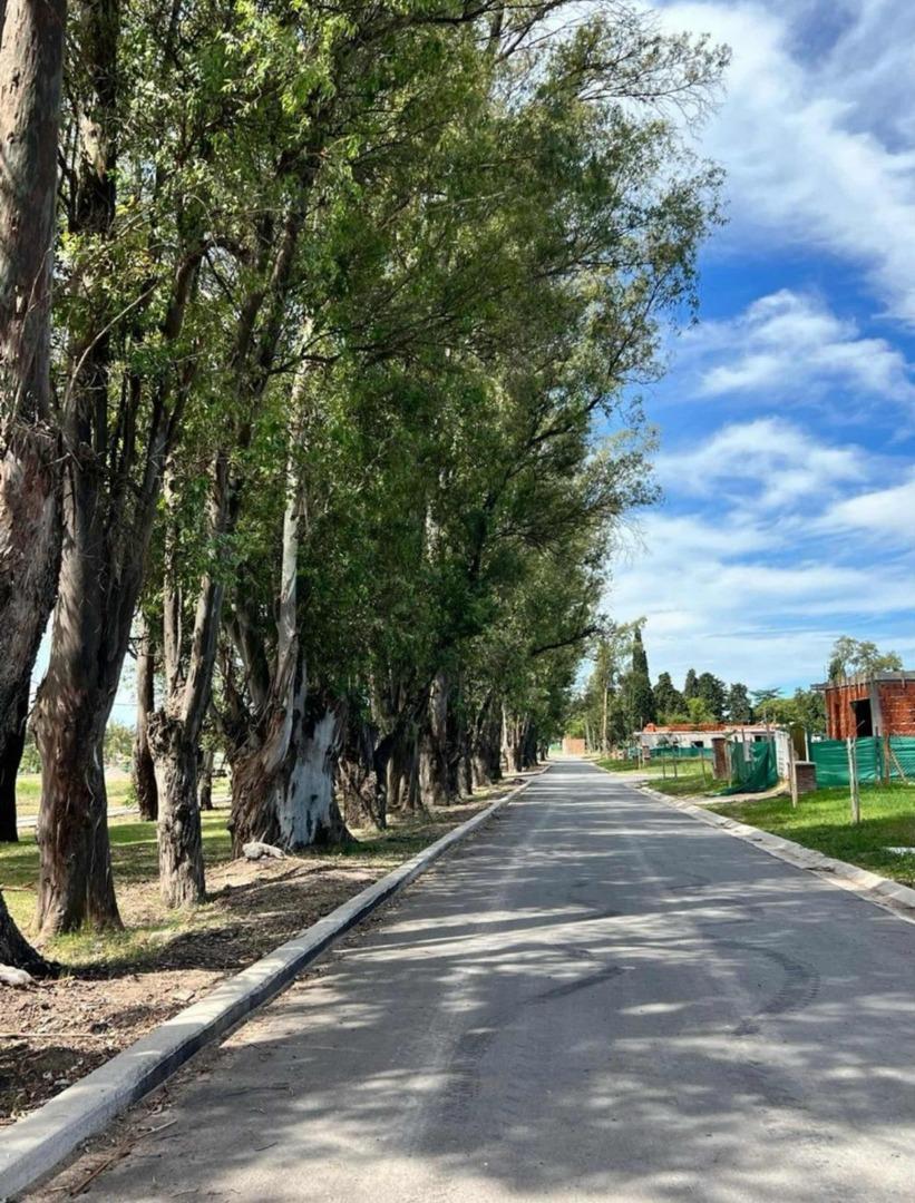 OPORTUNIDAD VENTA LOTE EN SANTA SOFIA PILAR DEL ESTE