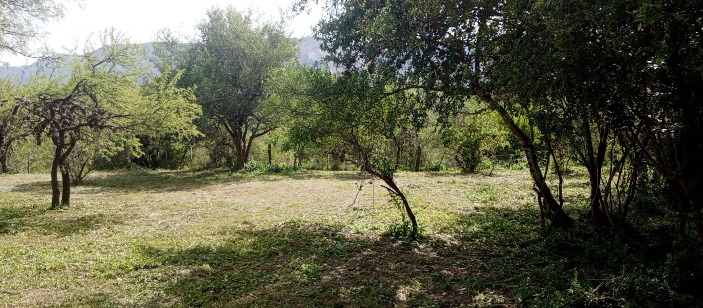 Terreno en Venta en Centro, USD 35.000