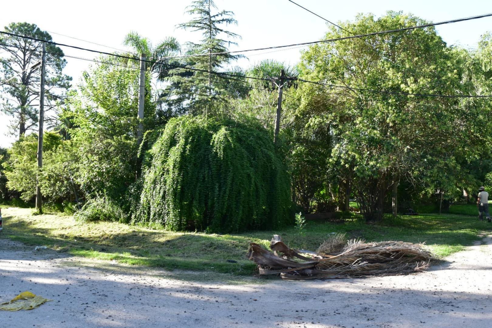 QUINTA EN ALTOS DEL SAUCE