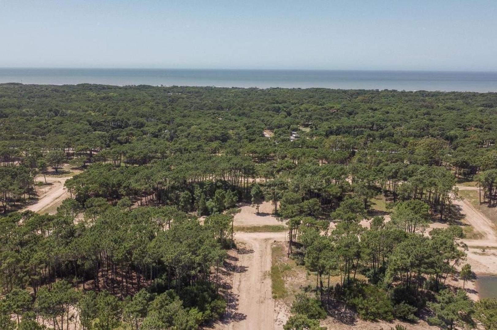 Barrio Bosques Pinamar