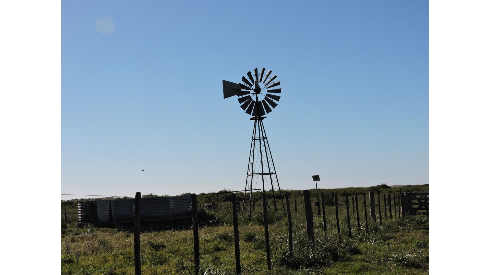 Campo de 230 Hás. en Gualeguaychú.