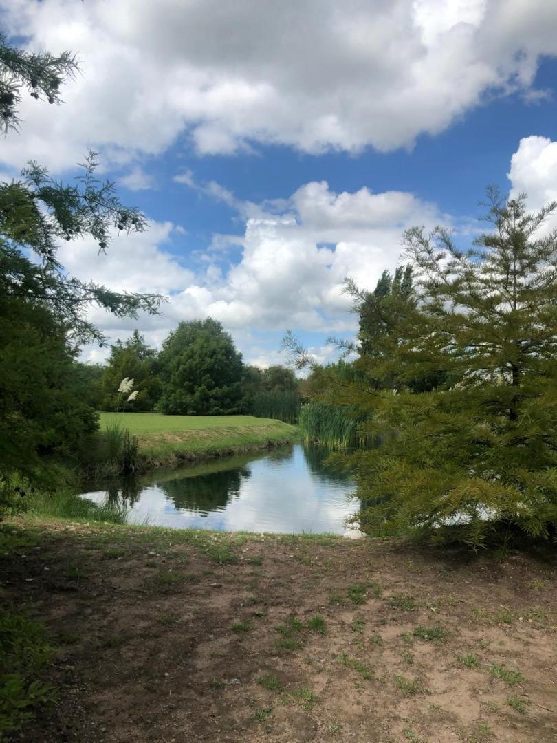 Avenida Fernandez Beschtdet