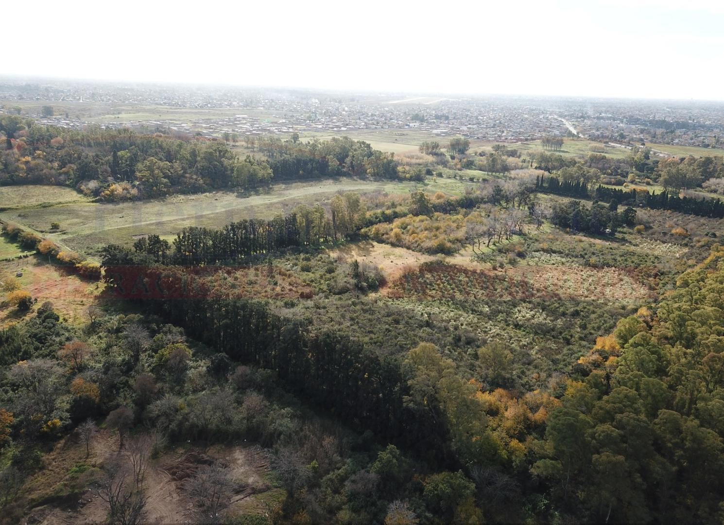 Terreno en Venta de 10040,0 m2