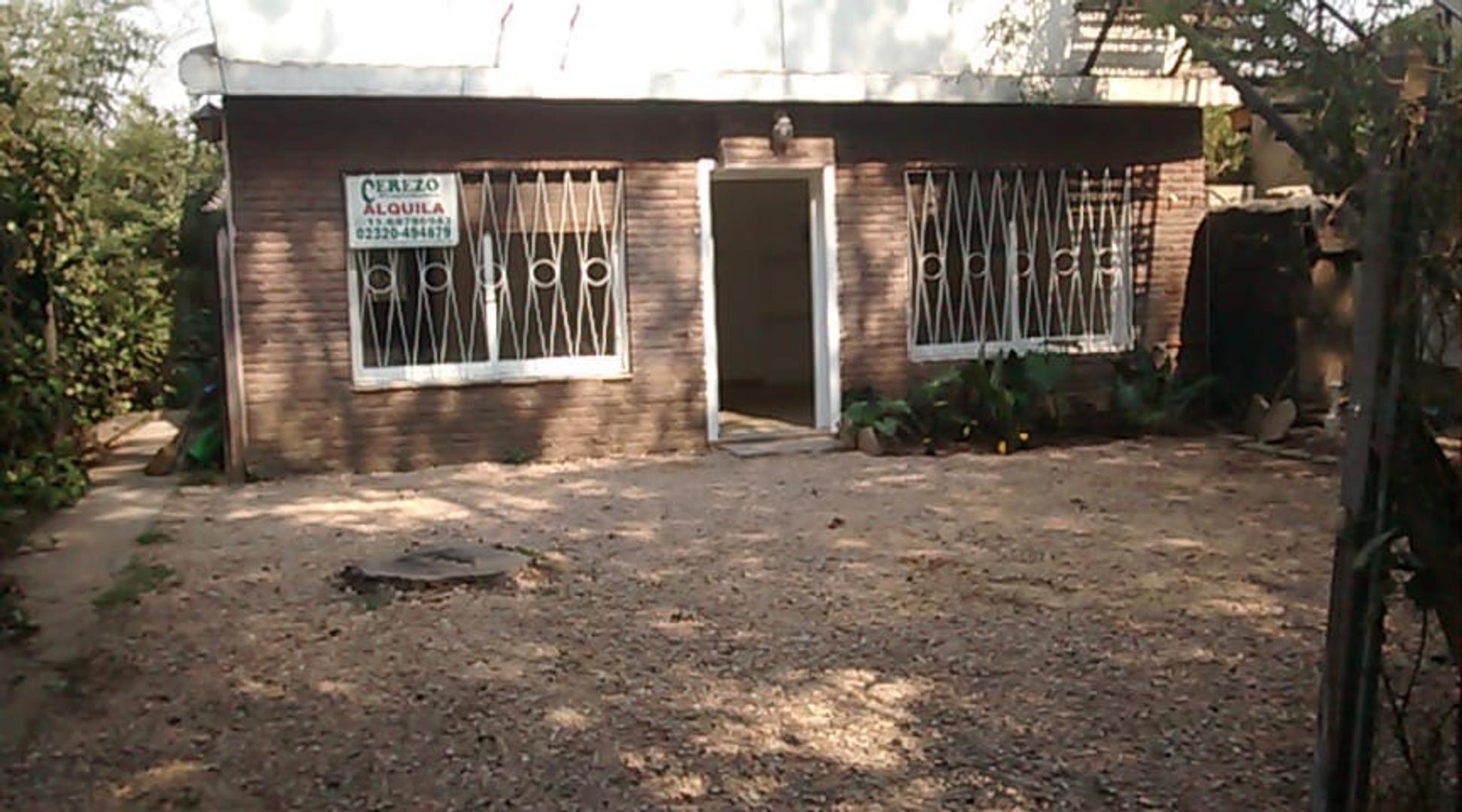 Amplio departamento c/jardín