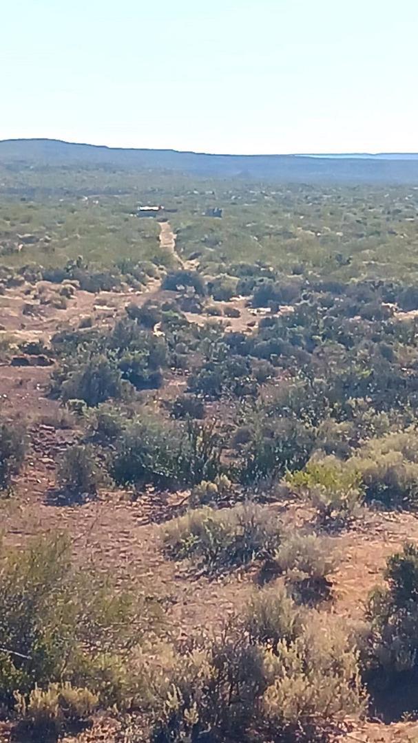 PUEBLO FINCAS VACA MUERTA 1 HECTAREA EN SENILLOSA