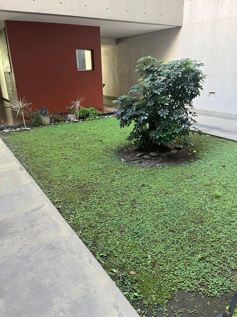 Carlos Tejedor 1443 , Piso 2