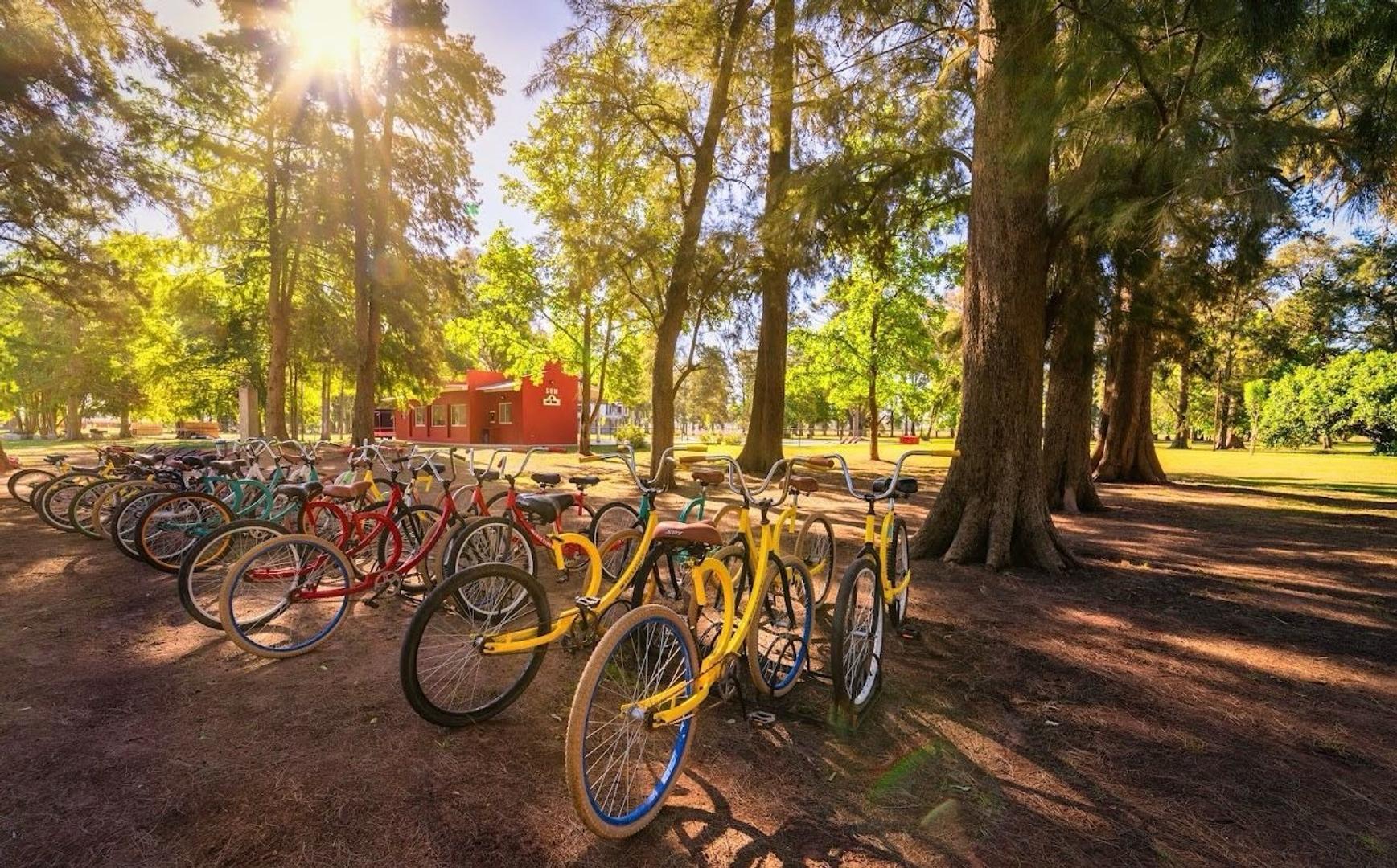 IMPERDIBLE LOTE EN TRES PINOS