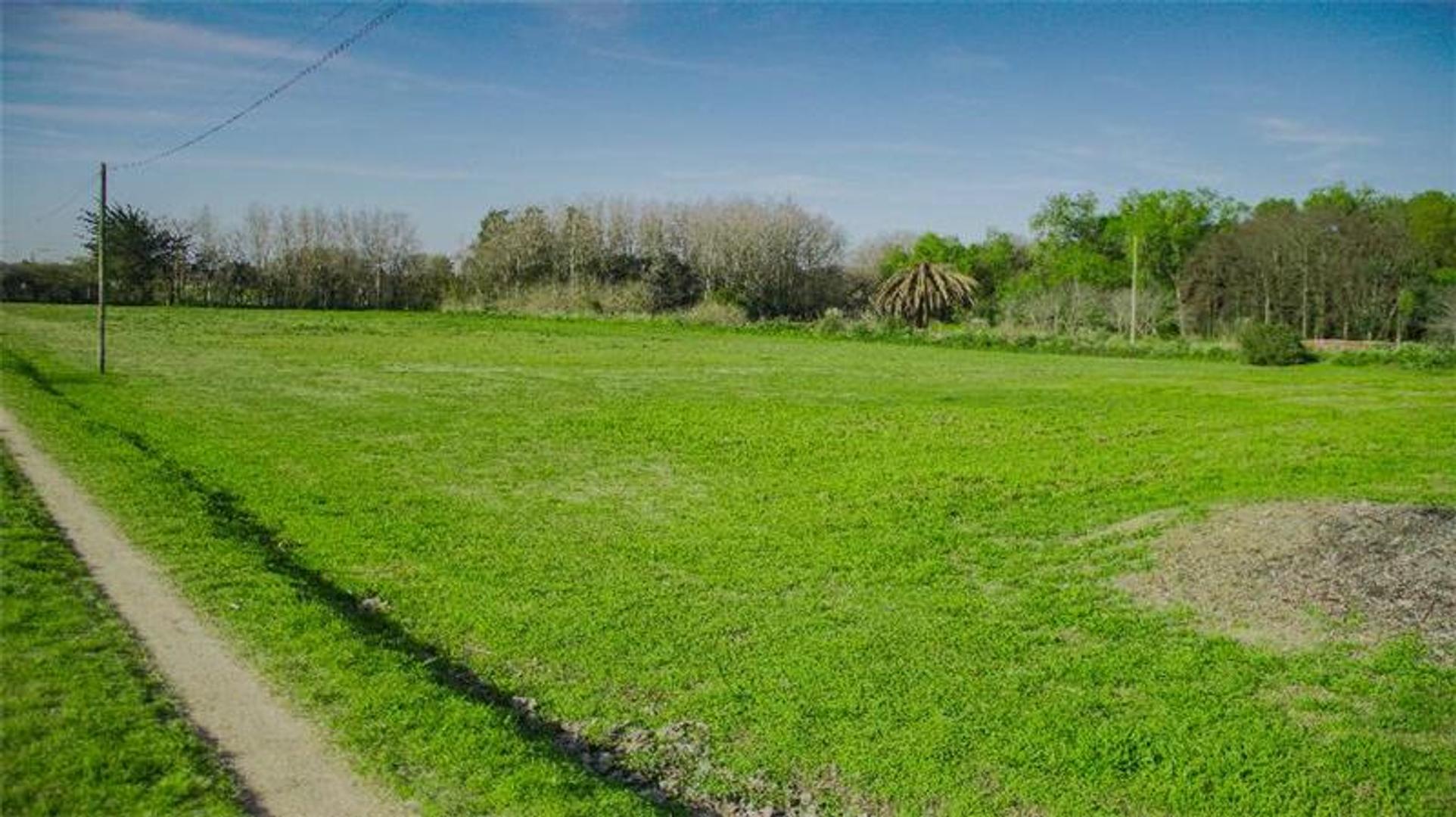 Campo en Venta Chacra