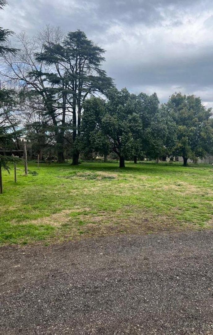 Venta  Lote 1400 m2 French 1000 y Diehl Longchamp