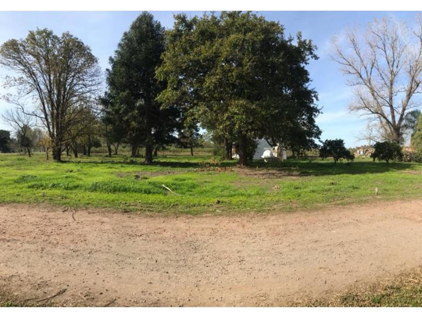 Terreno en Venta de 350,0 m2