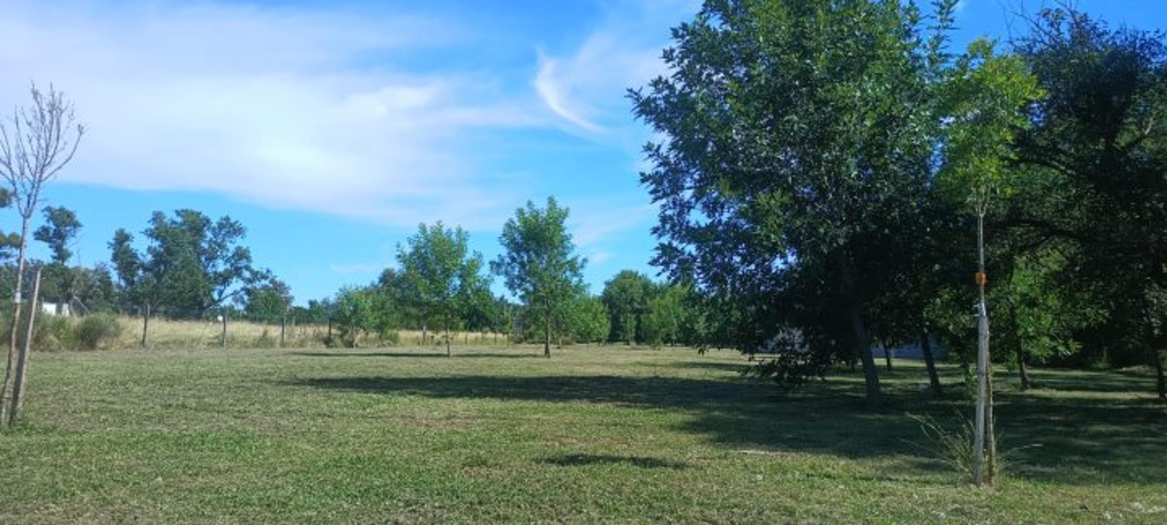 Terreno en Venta 52,30  mts Fondo