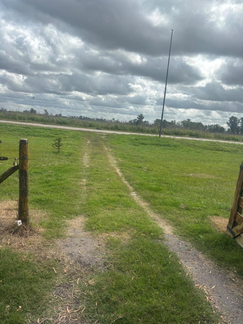 CAMPO EN ALQUILER, GRAL. RODRÍGUEZ
