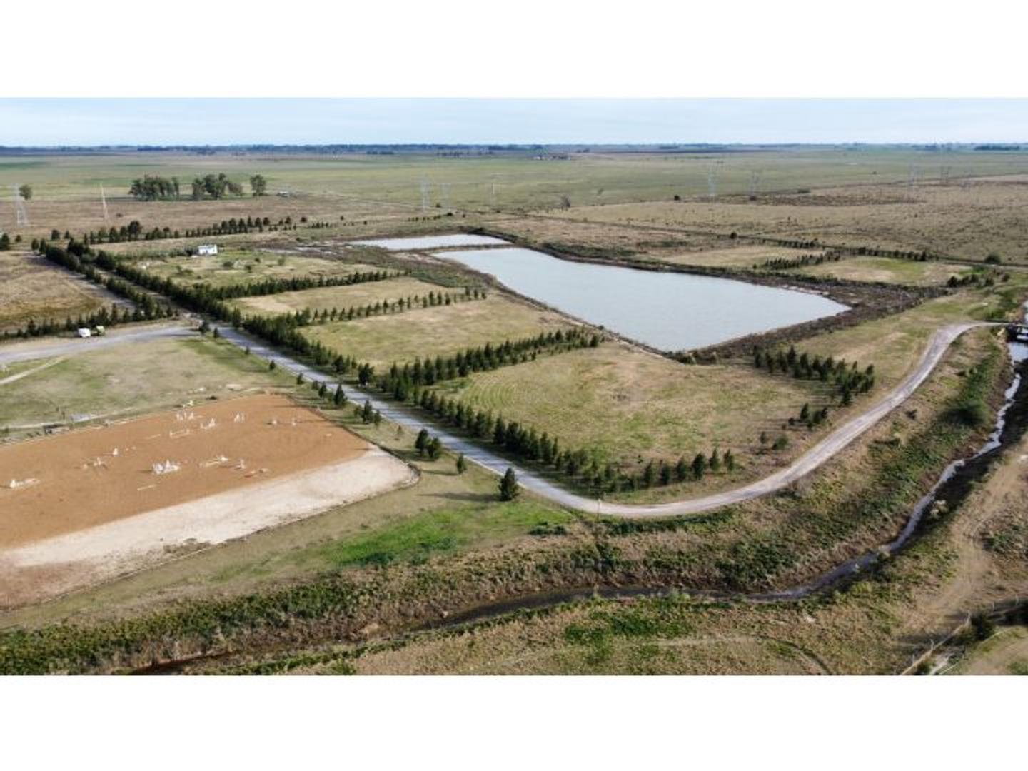 Venta Terreno 1 Hectárea - Chacras Del Lago - Haras De Funes