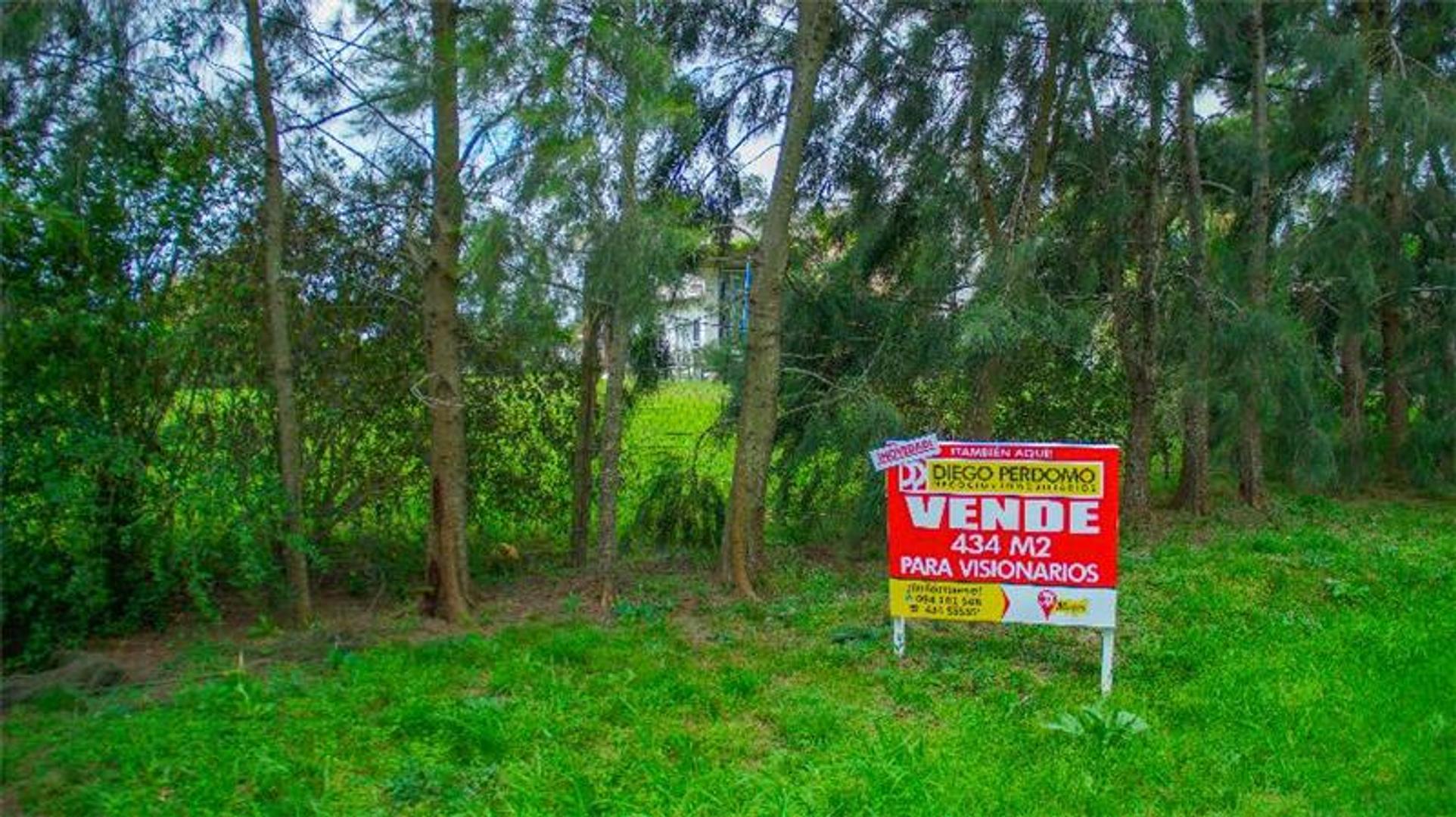 Atractivo Terreno de 434 m². Entorno Interesante