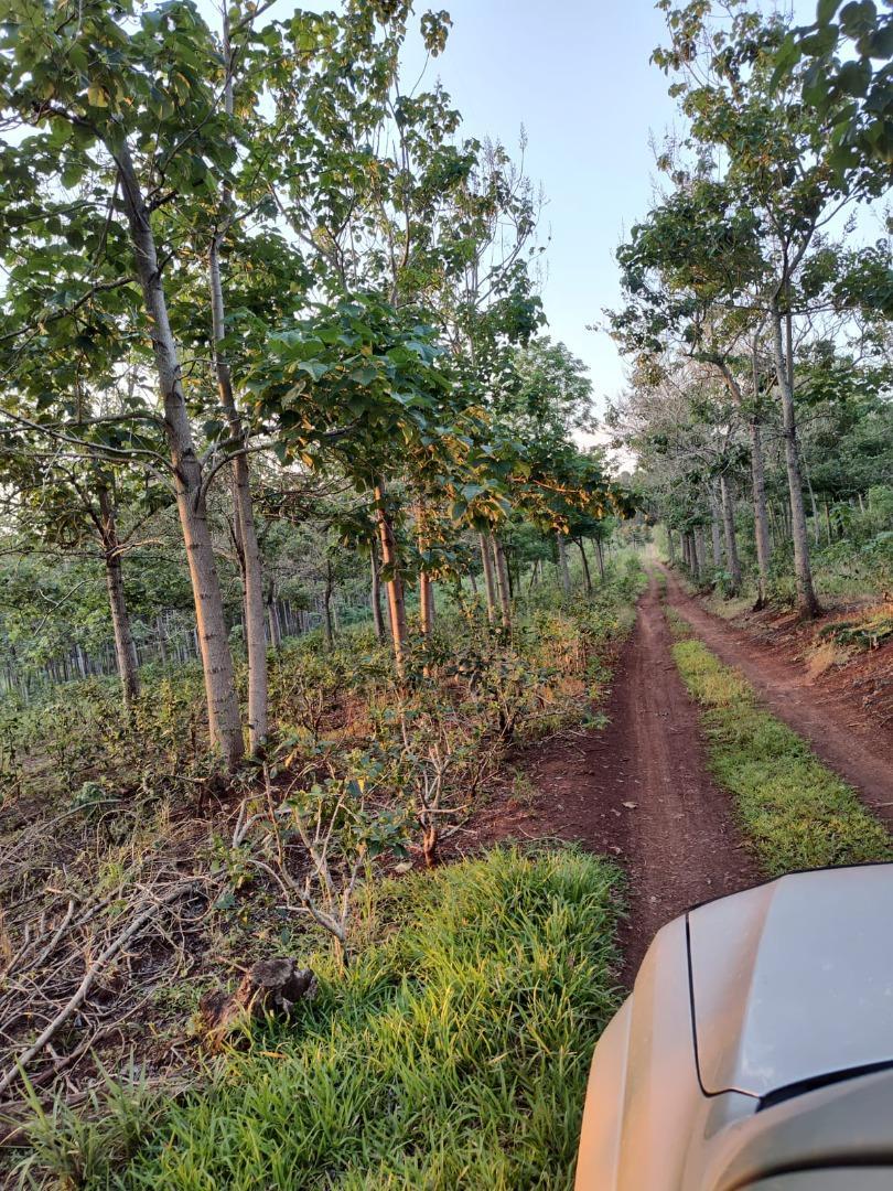 UNA JOYA  PARA  ECOTURISMO