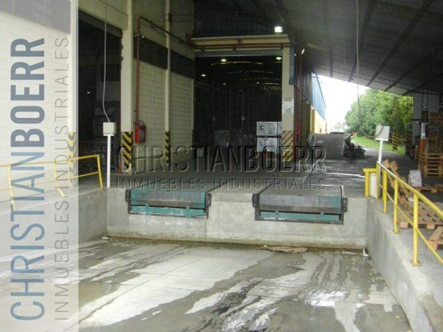 Calle 13 Casi Calle 9 100