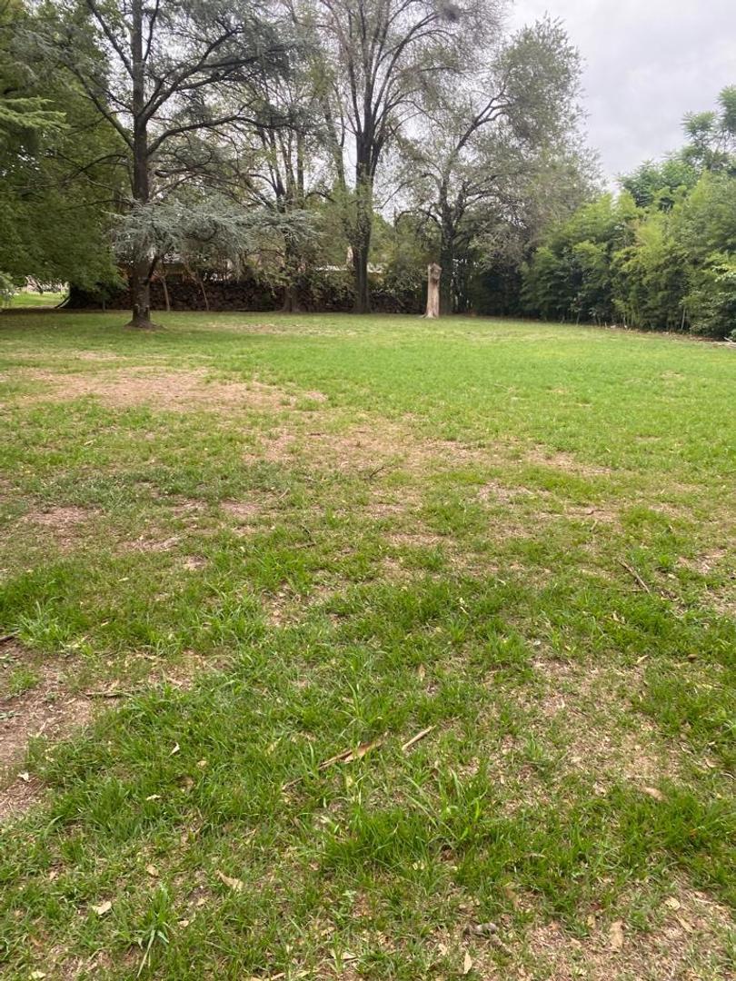 buen lote 50 mts de Storni (La Reja)