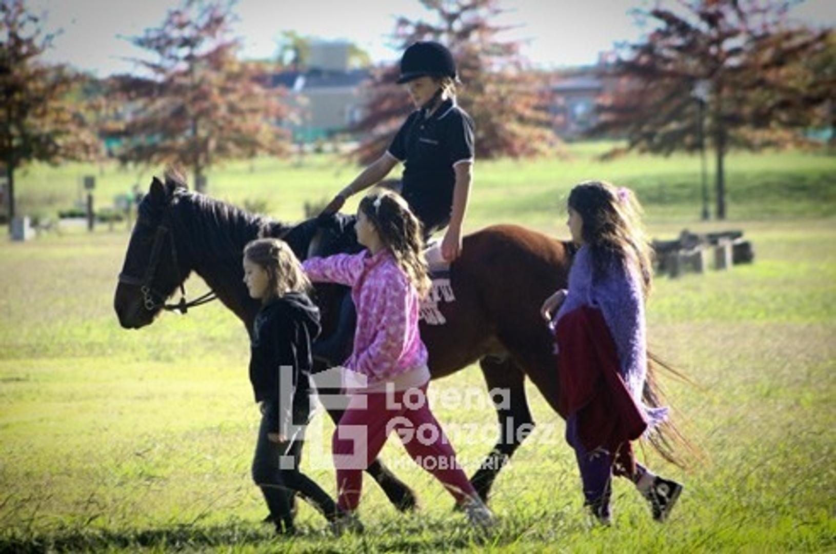 Terreno en Venta de 1291,0 m2